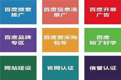 SEM搜索引擎优化策略解析与应用案例